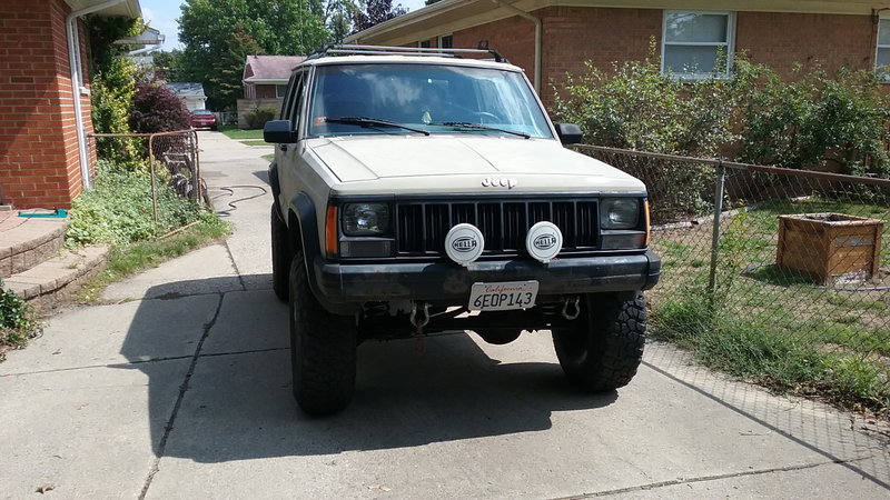 About to get it’s first bath in a couple years.